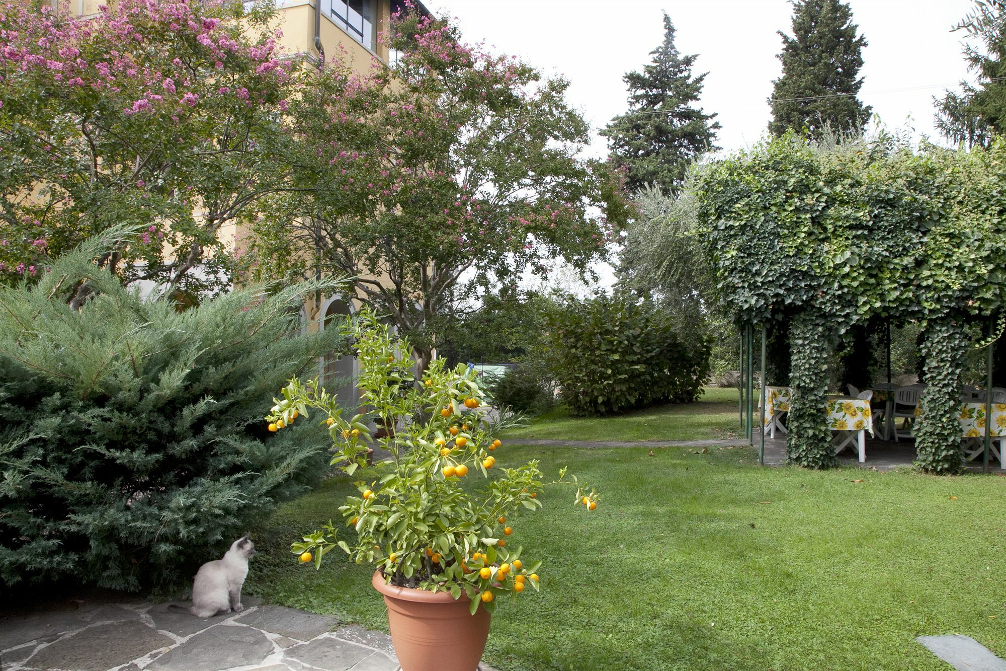 B&B Villa La Sosta Florence Luaran gambar